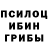 Галлюциногенные грибы Psilocybine cubensis bbashn